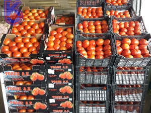 ΝΤΟΜΑΤΕΣ